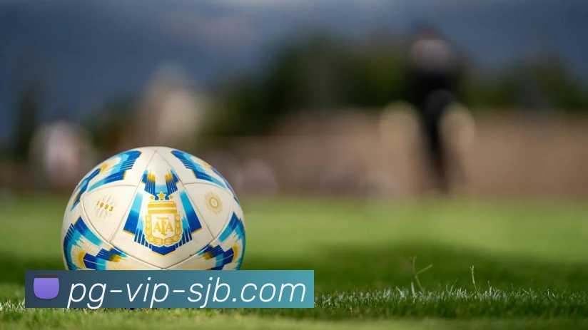 平台展示图